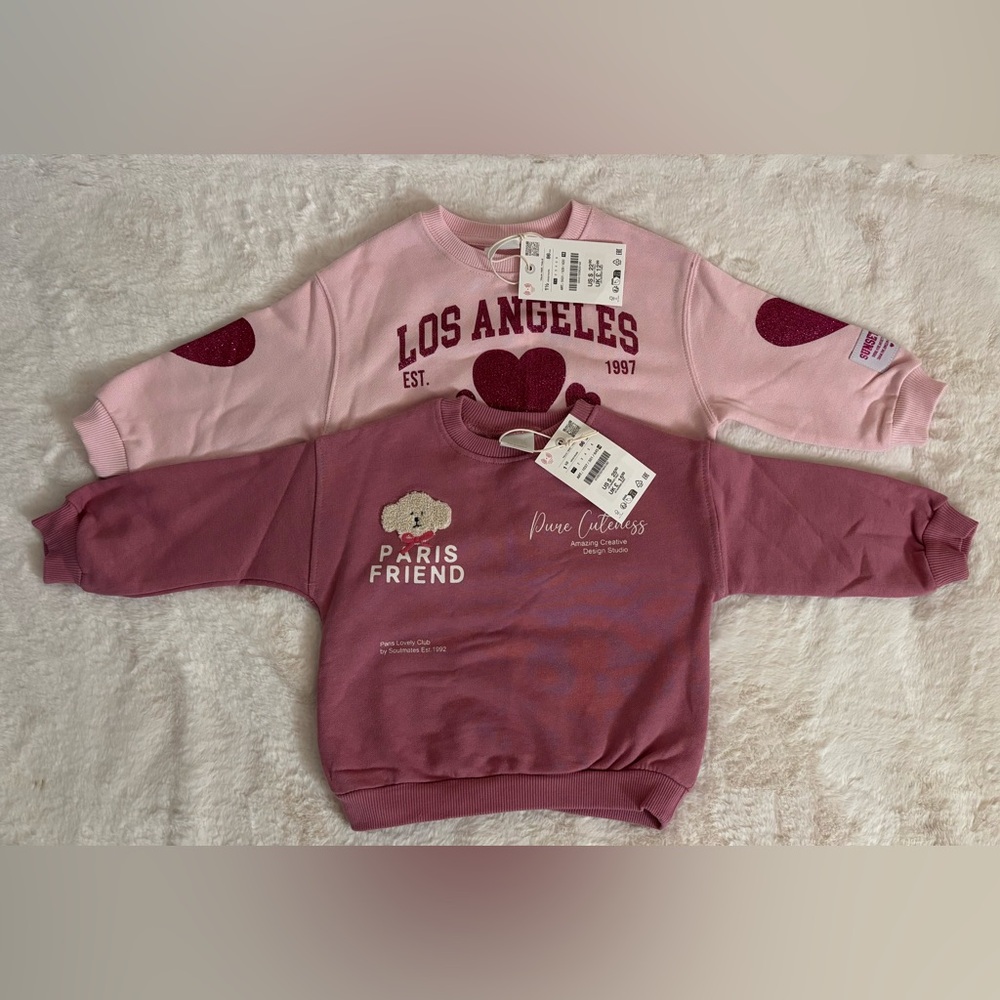 Both for $22 Zara Pink and Burgundy Graphic Sweatshirt